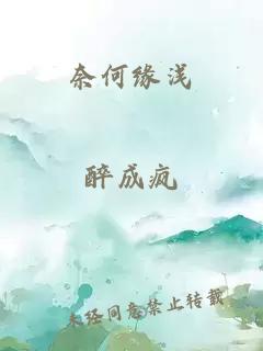 奈何缘浅